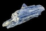 Vibrant Blue Kyanite Crystal Cluster - Brazil #113471-1